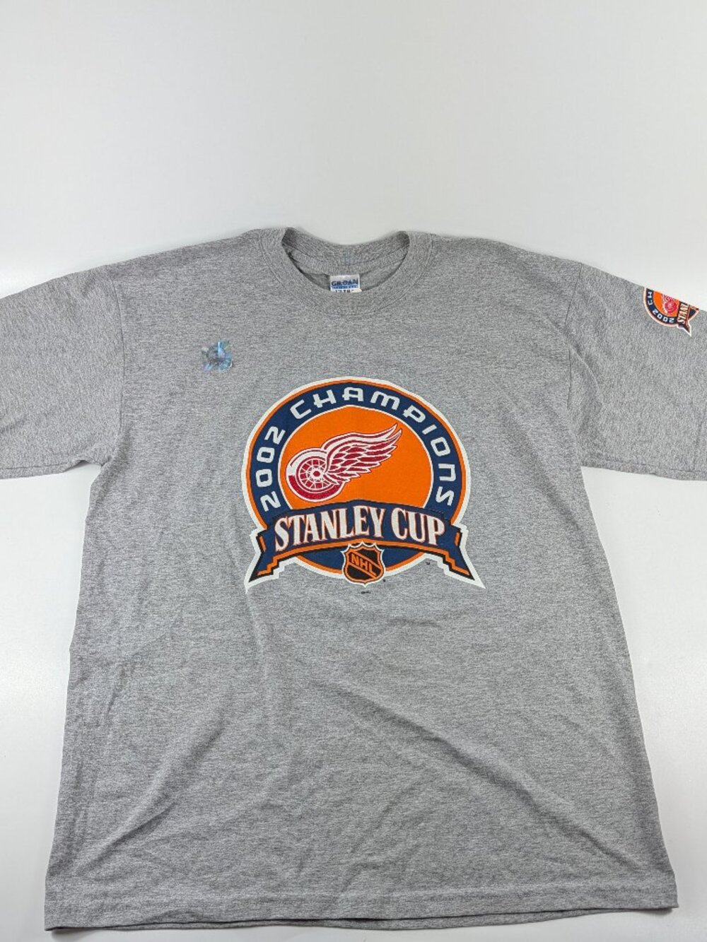 Vintage 2002 Detroit Red Wings NHL Stanley Cup Champions T-Shirt NWT